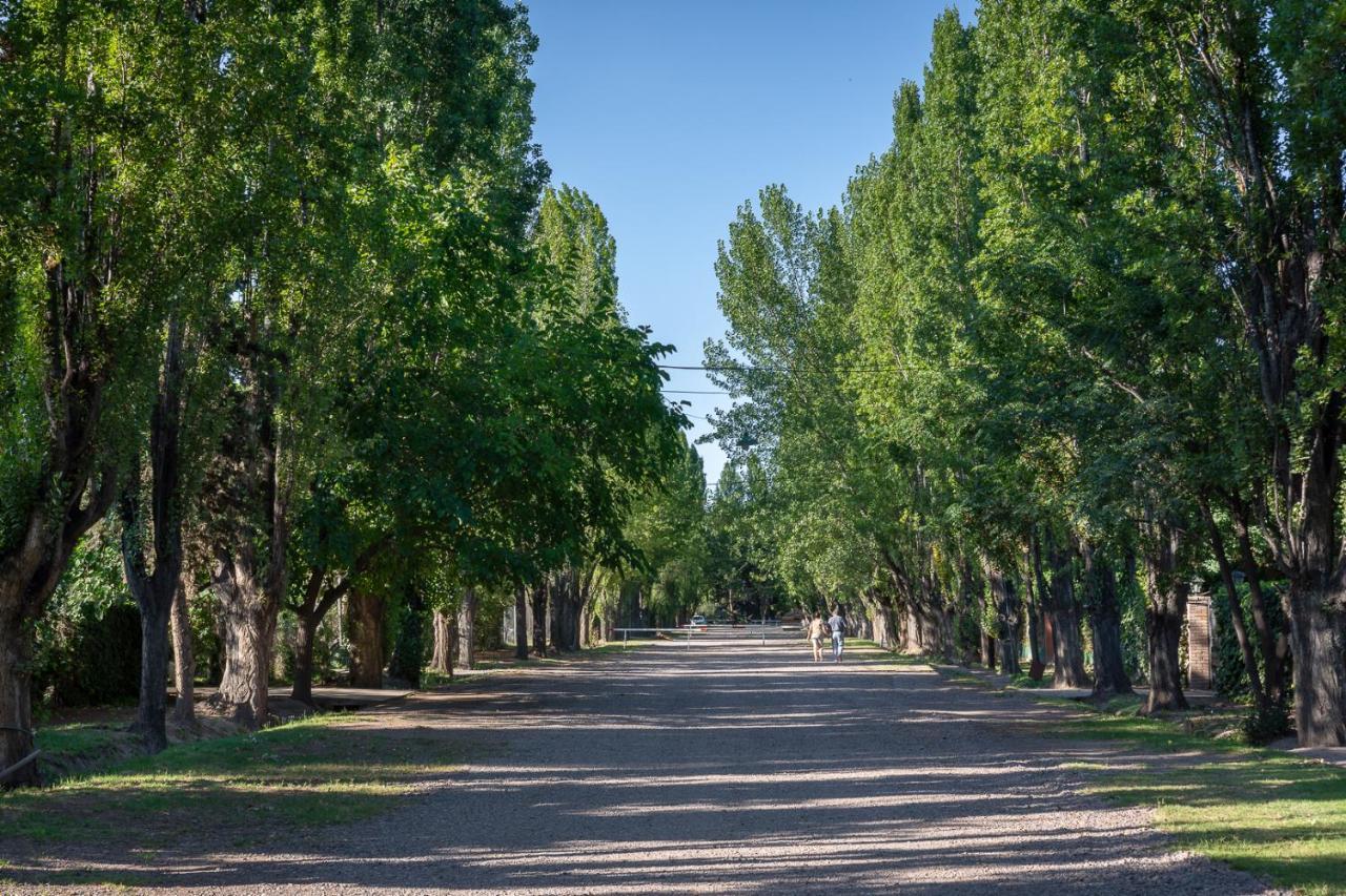 Alquiler Temp "Una Pausa" Barrio Privado En Vistalba Mendoza Exterior foto