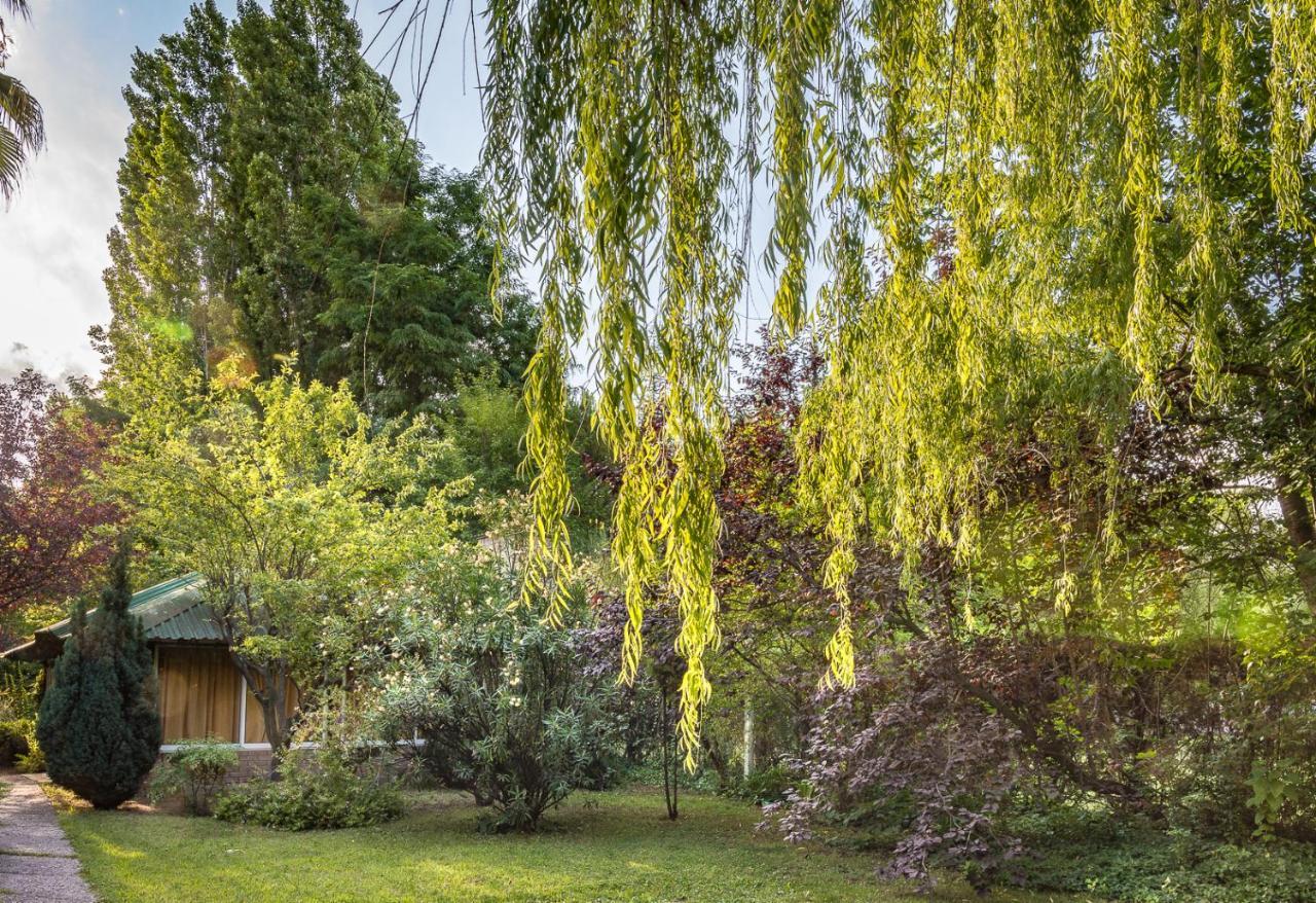 Alquiler Temp "Una Pausa" Barrio Privado En Vistalba Mendoza Exterior foto