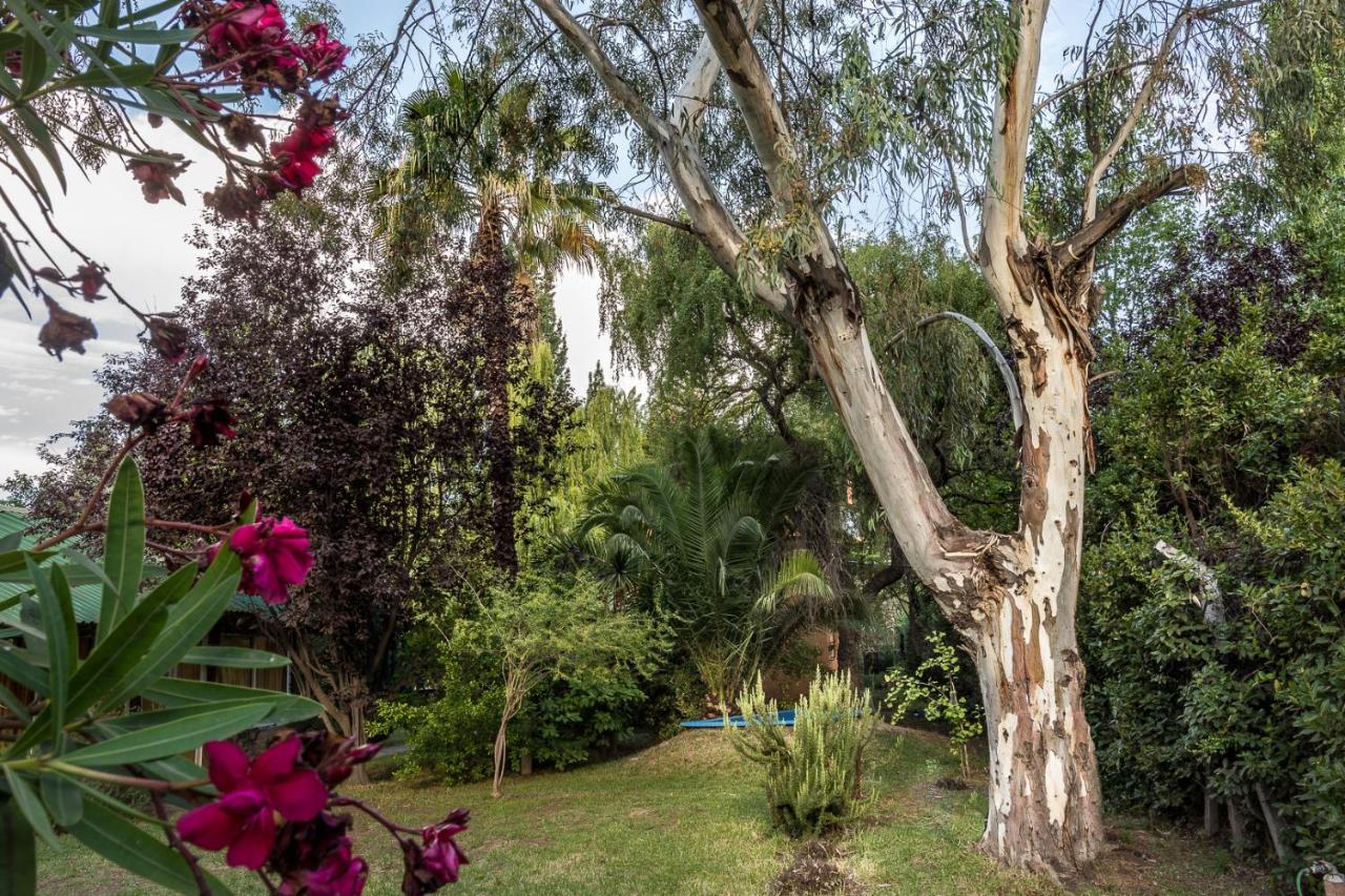 Alquiler Temp "Una Pausa" Barrio Privado En Vistalba Mendoza Exterior foto